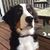 Kathy Spangler Barlow's profile image