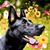 Andrea Bishop's profile image