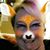 Anna Heaton's profile image