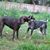 Sandra Weaver's profile image