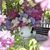 Trish Wilson McKinney's profile image