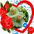 Teresa Rosas's profile image