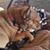 Penny Burke's profile image