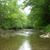 Judy Wood Cornish's profile image