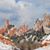 Caroline Werle's profile image