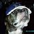 Madd Pits's profile image