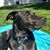 Christian Mulrane's profile image