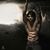 Omer Shaik's profile image