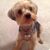 Barbara Grear's profile image