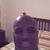 Kangol Kangol's profile image