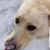 Sandra White's profile image