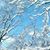 Patricia Villers's profile image