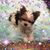 Debbie Wolfe Sowle's profile image