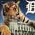 Dave Wilson's profile image