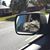 Bill Ellington's profile image