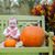 Clara Tapley's profile image