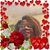 Belinda A Jordan-Miller's profile image