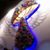Taravat Mushroom Farm's profile image