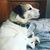 Suzanne Fuoco's profile image