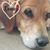 Stephanie Mae Griswold's profile image