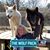 Glenda Schreffler's profile image