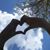 Lorena Parga Lowe's profile image