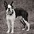 Tracy Horton Bradley's profile image
