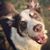Christy Miller Duff's profile image