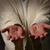 Judy Sauer's profile image
