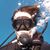 Jason Green's profile image