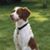 Susan Everman's profile image