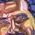 Timothy J. Jurkovac's profile image