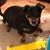 Brenda Bender Suttles's profile image