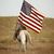 Denise Shadden's profile image