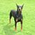 Debbie Franz's profile image