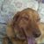 Cindy Davis's profile image