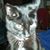Louise Hallett's profile image