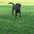 Tammy Vandyke-Waller's profile image
