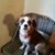 Lacreacia Goodman's profile image