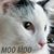 Melanie Underwood's profile image