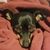 Kelley Weaver's profile image