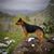 Jenifer Wells's profile image