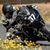 Nels Byersdorf's profile image