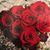 Brenda Strasser Ritchie's profile image