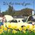 Carol A Poupore's profile image