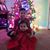 Karol Cifuentes's profile image