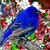 Wendy Wagner Zappa's profile image