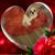 Tracey Alden's profile image