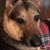 Laura Nanni's profile image