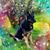 Elle M. Boukhtin's profile image